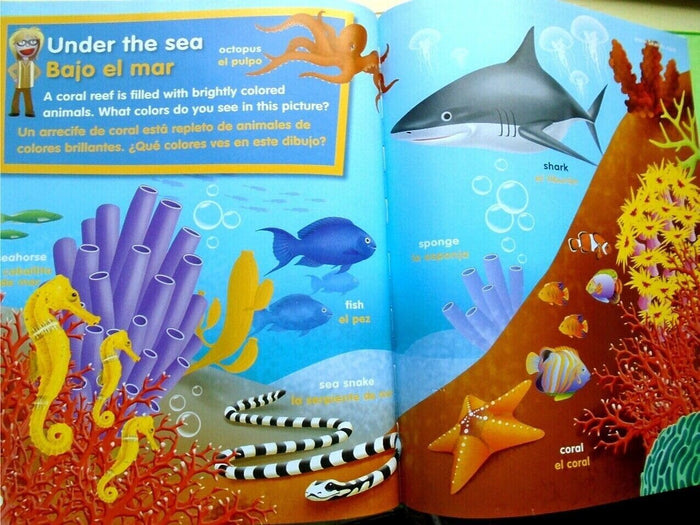 My Book of Colors