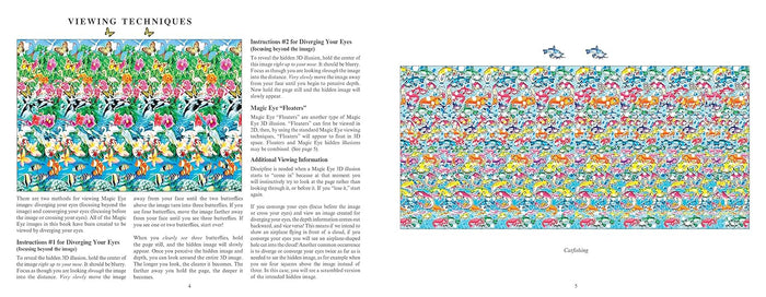 Magic Eye: Have Fun in 3D by Cheri Smith