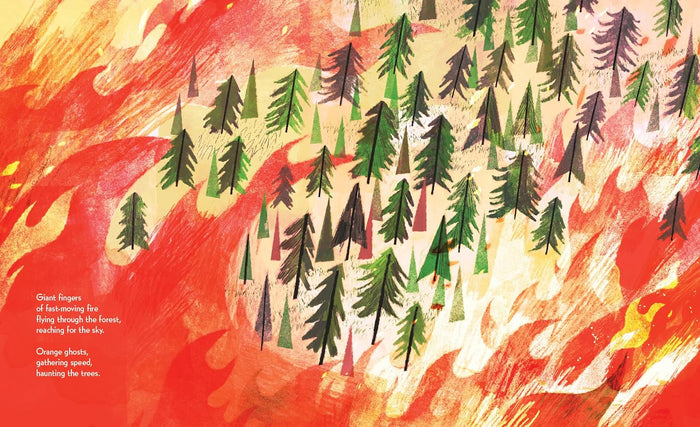 Pine Cone Regrown: How One Species Thrives After Fire